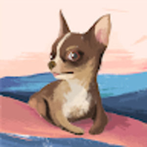 Meet your Posher, Sheila